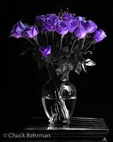 اضغط على الصورة لعرض أكبر. 

الإسم:	Afternoon_Roses_Violet.jpg 
مشاهدات:	188 
الحجم:	40.6 كيلوبايت 
الهوية:	4652
