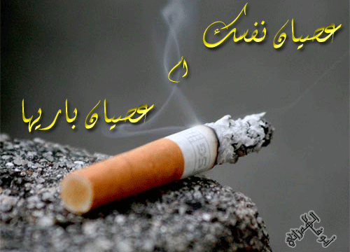 الاســـم:	34251875.gif
المشاهدات: 3240
الحجـــم:	97.4 كيلوبايت